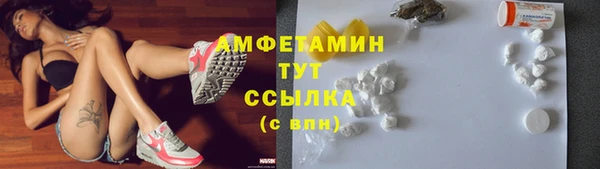 гидропоника Рославль
