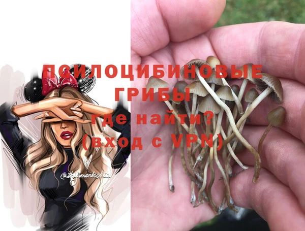 гидропоника Рославль