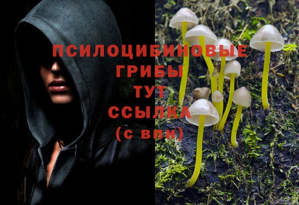 мяу мяу кристалл Ростов