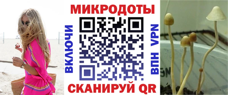 darknet формула  Тара  Псилоцибиновые грибы прущие грибы 