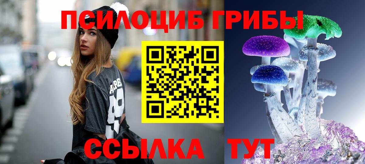 Тара  Псилоцибиновые грибы Psilocybe  Вход с VPN 