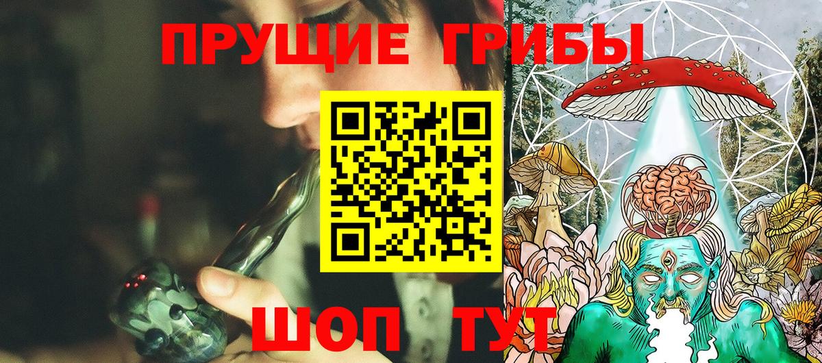 как найти наркотики  Тара  Галлюциногенные грибы Psilocybe  Псилоцибиновые грибы Cubensis 