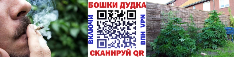 Каннабис индика Тара
