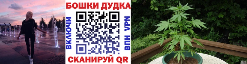 Каннабис SATIVA & INDICA  цена наркотик  нарко площадка какой сайт  Тара  MEGA зеркало 